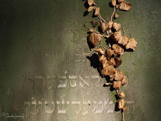 Berlin - Jüdischer Friedhof Weißensee